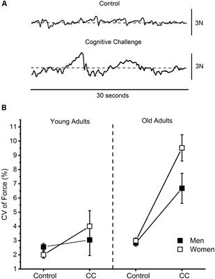 <mark class="highlighted">Force Steadiness</mark> During a Cognitively Challenging Motor Task Is Predicted by Executive Function in Older Adults